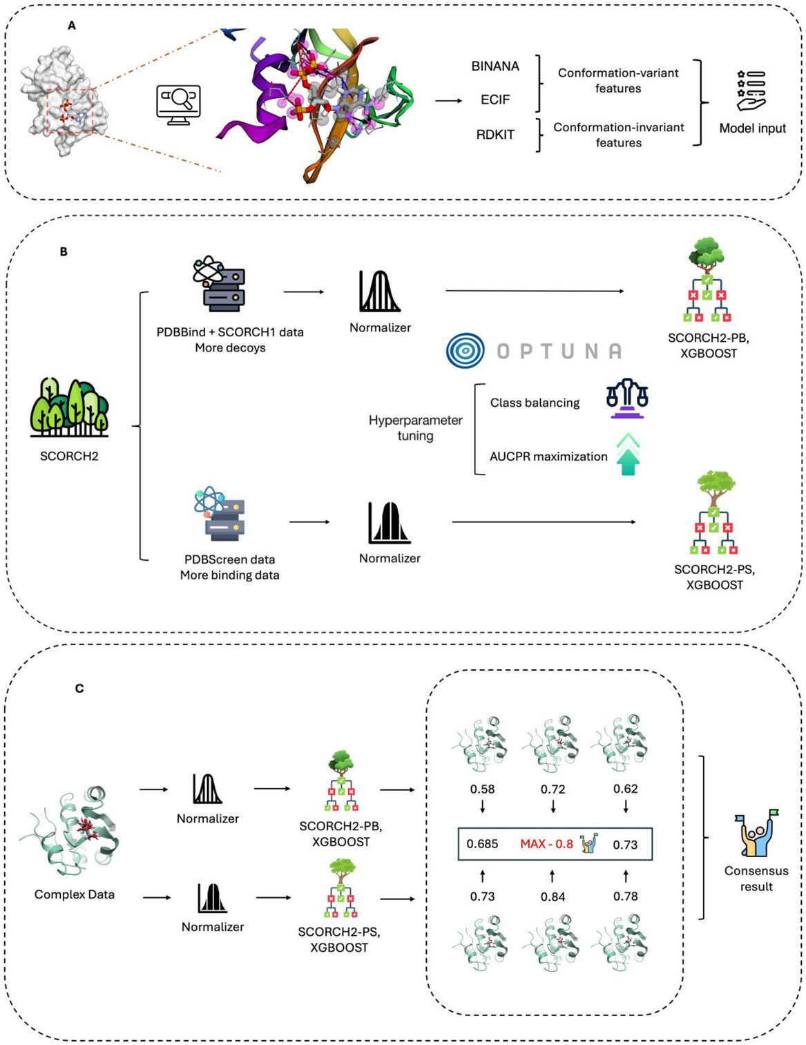 Placeholder: upload scorch2.jpg